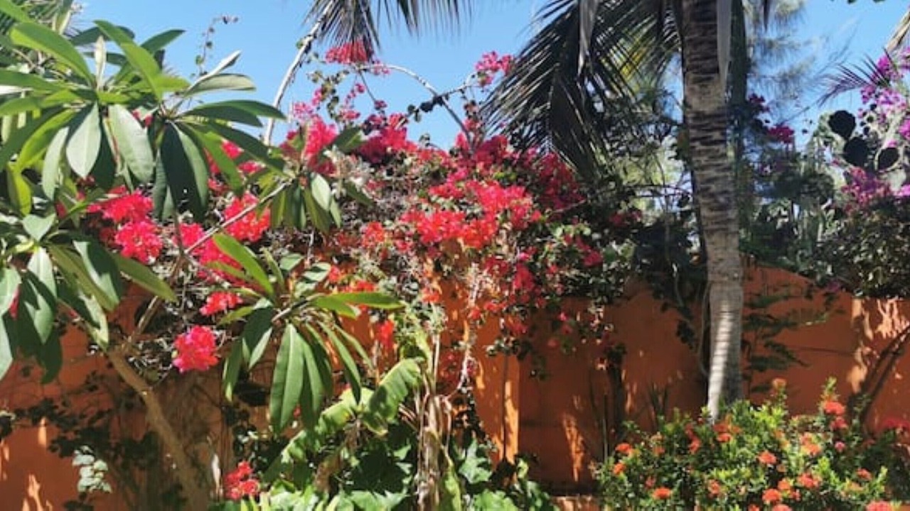 Photo of Outdoor in Canoa Quebrada