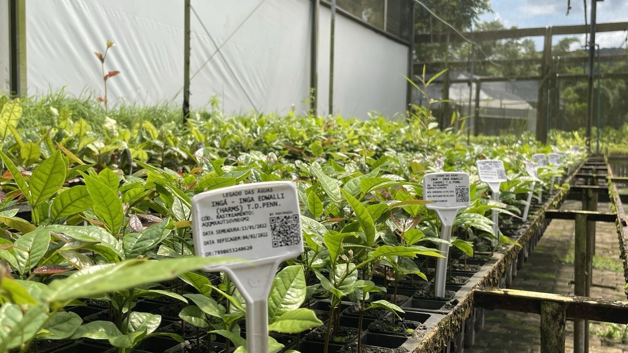 Photo of Outdoor in Santa Rita de Cassia