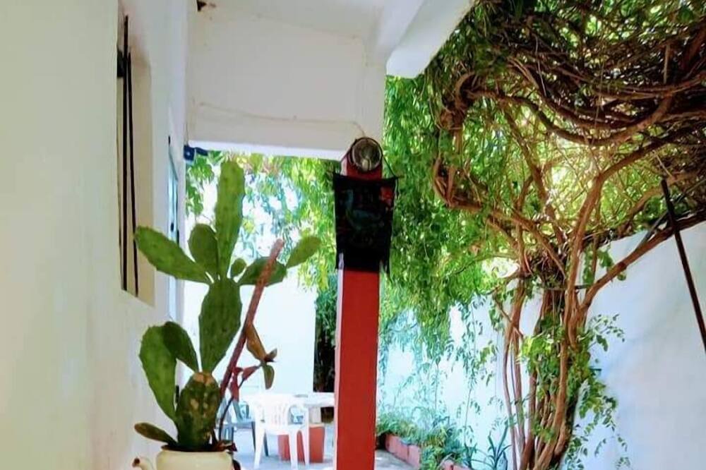 Photo of Patio Balcony in La Lucila del Mar