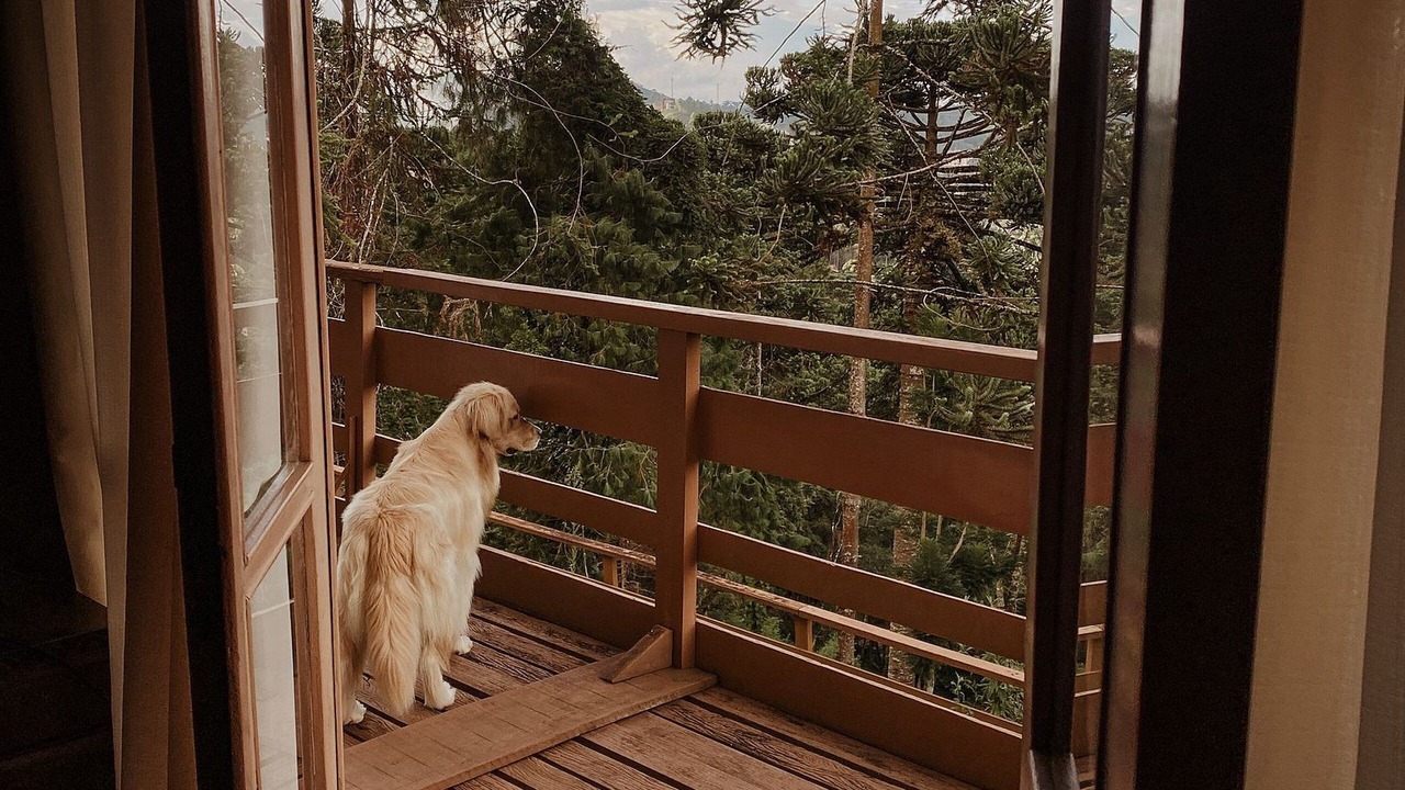 Photo of Outdoor in Vila Inglesa