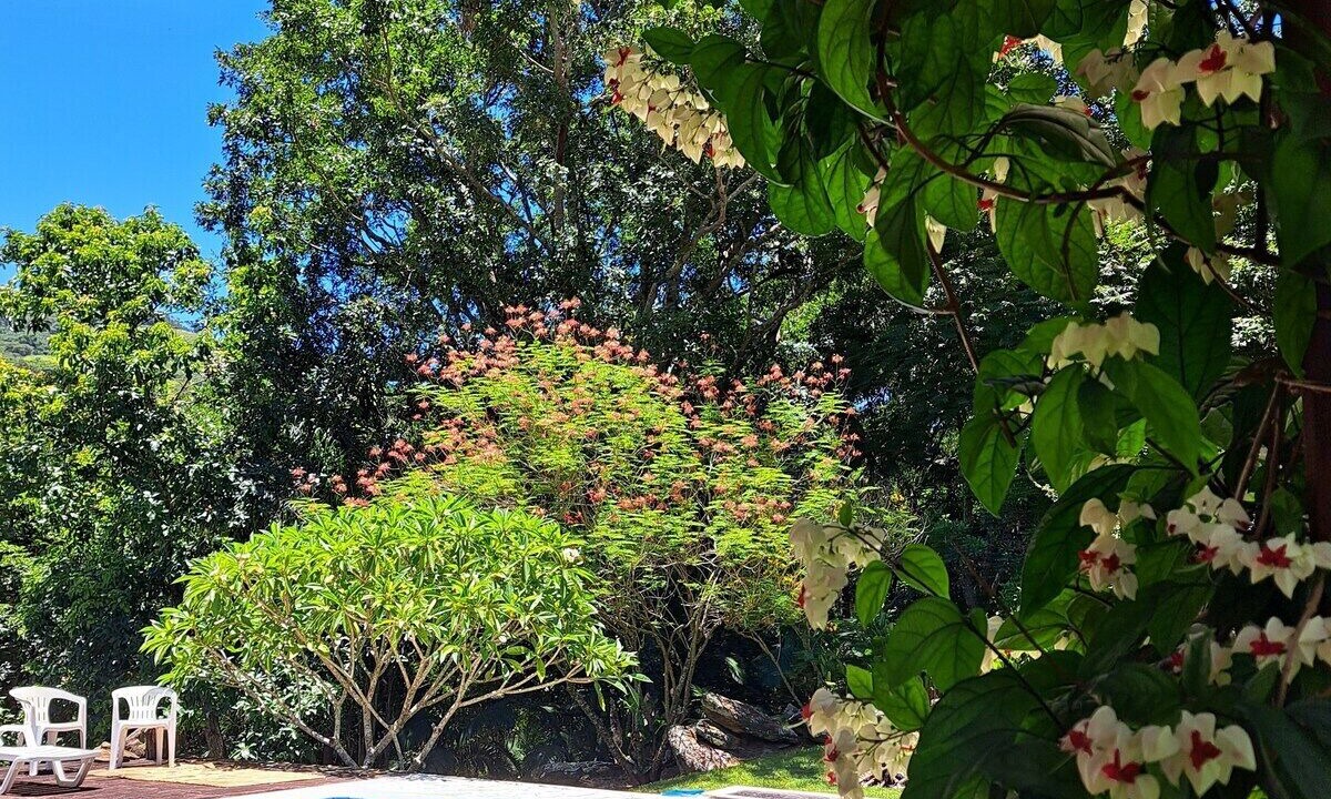 Photo of Outdoor in Monte Alegre do Sul