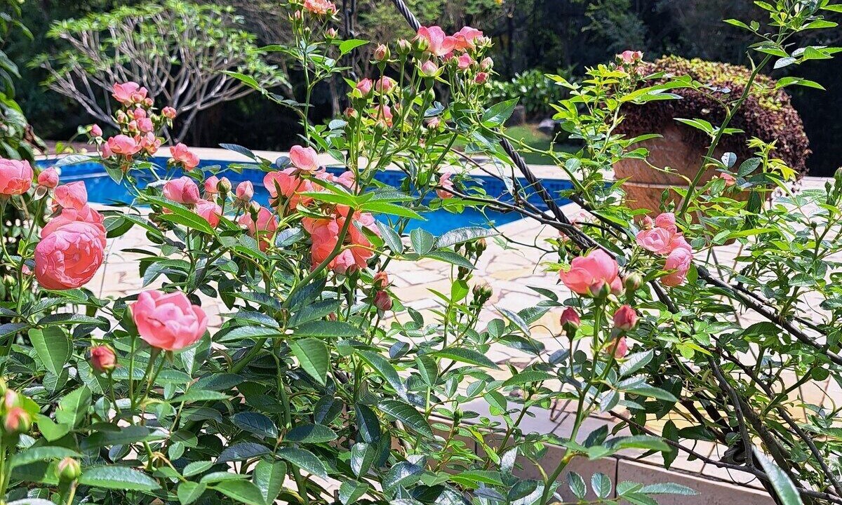 Photo of Outdoor in Monte Alegre do Sul