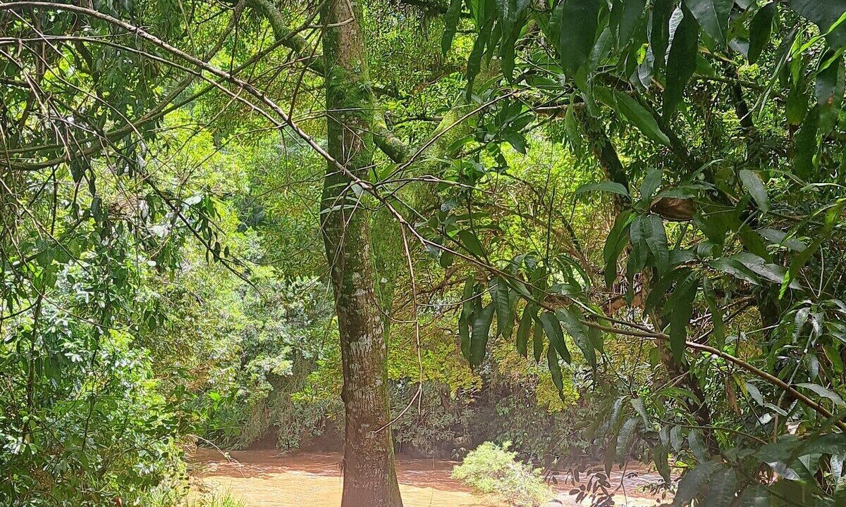Photo of Outdoor in Monte Alegre do Sul