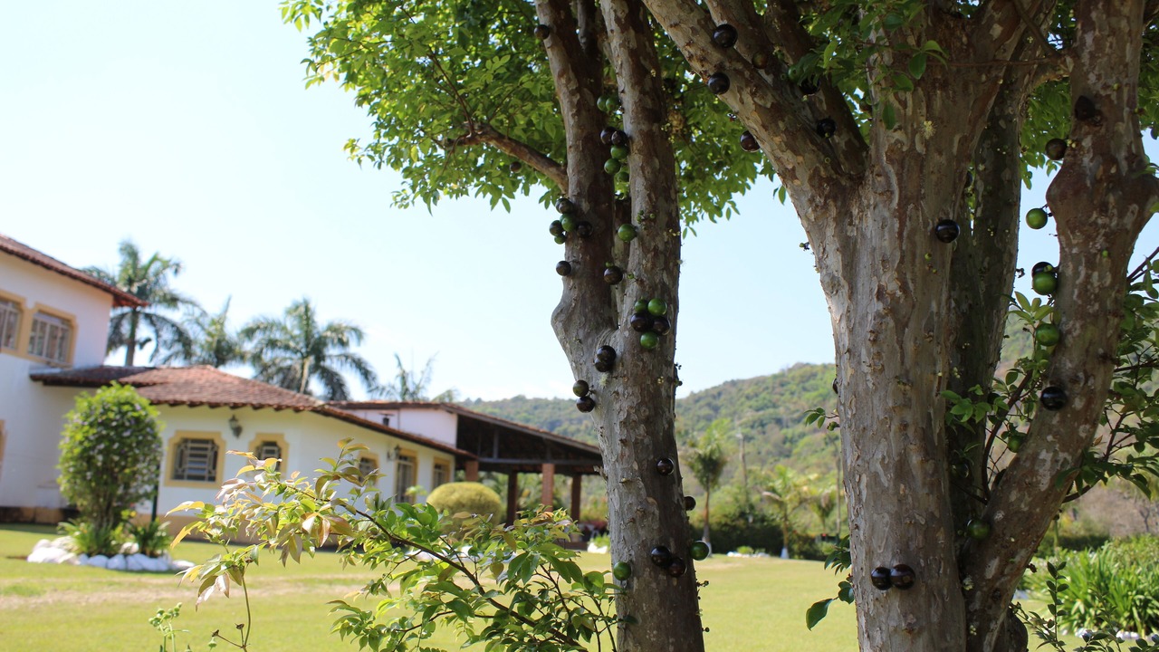 Photo of Outdoor in Mairipora