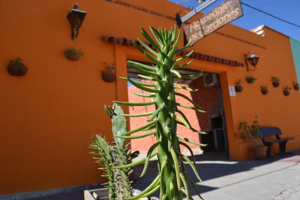 Photo of Outdoor in Cafayate