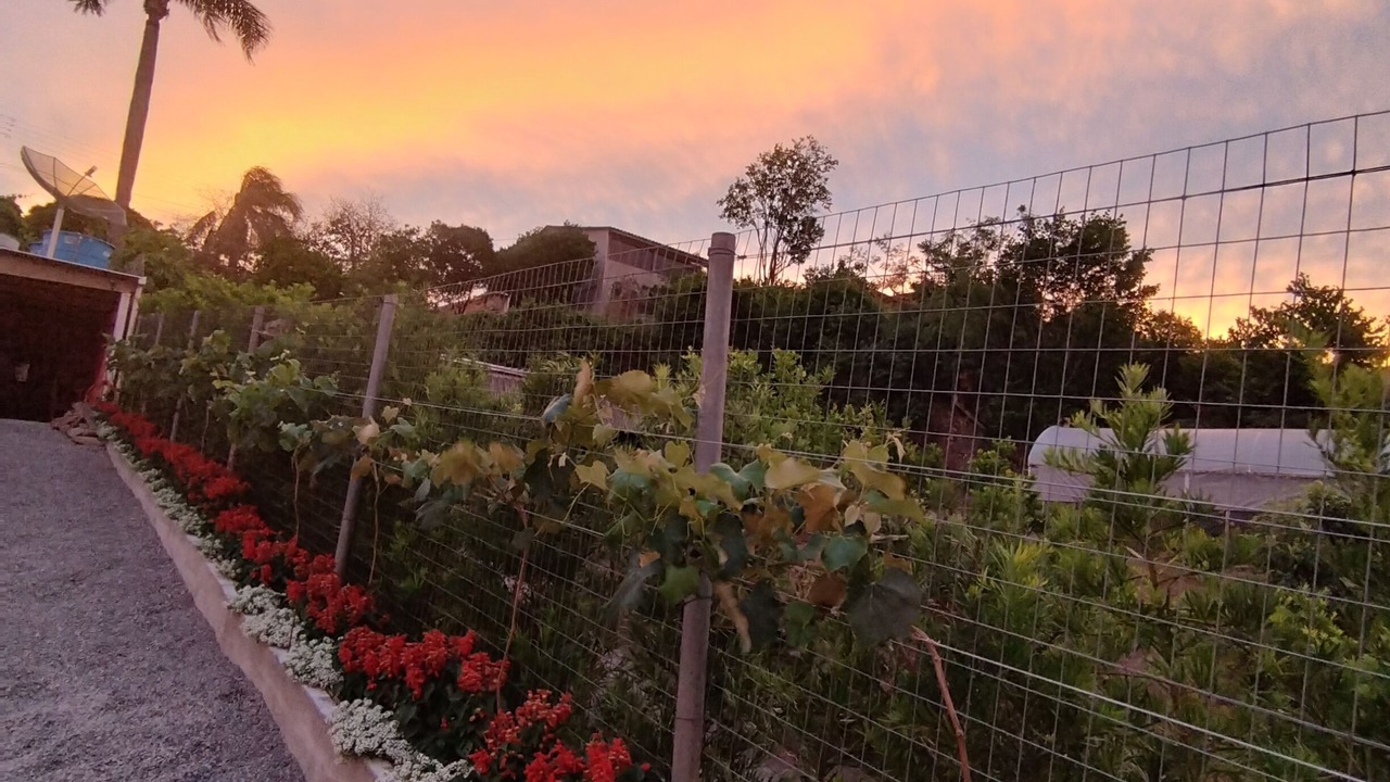 Photo of Outdoor in Bento Goncalves