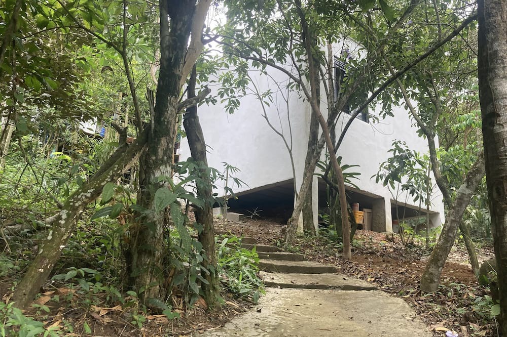 Photo of Outdoor in Cocaia