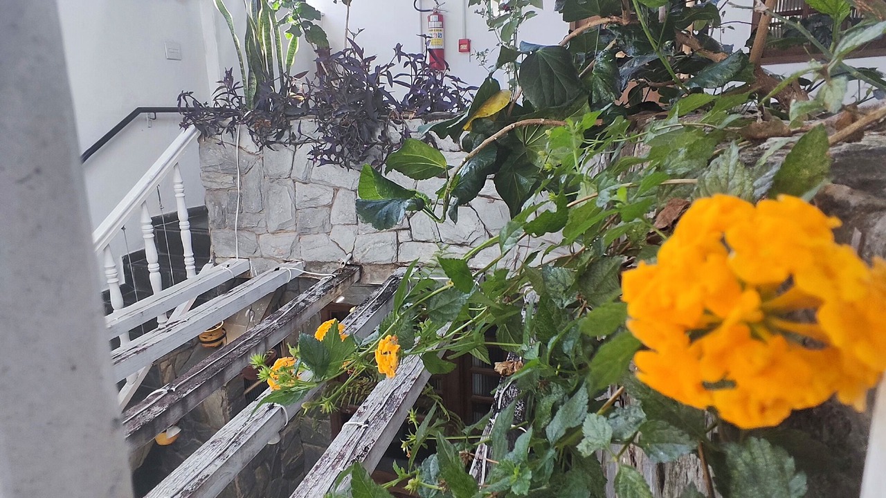 Photo of Outdoor in Diamantina