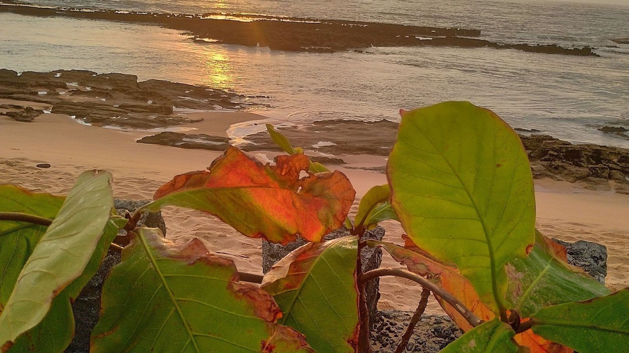 Photo of Others in Santa Cruz Cabralia