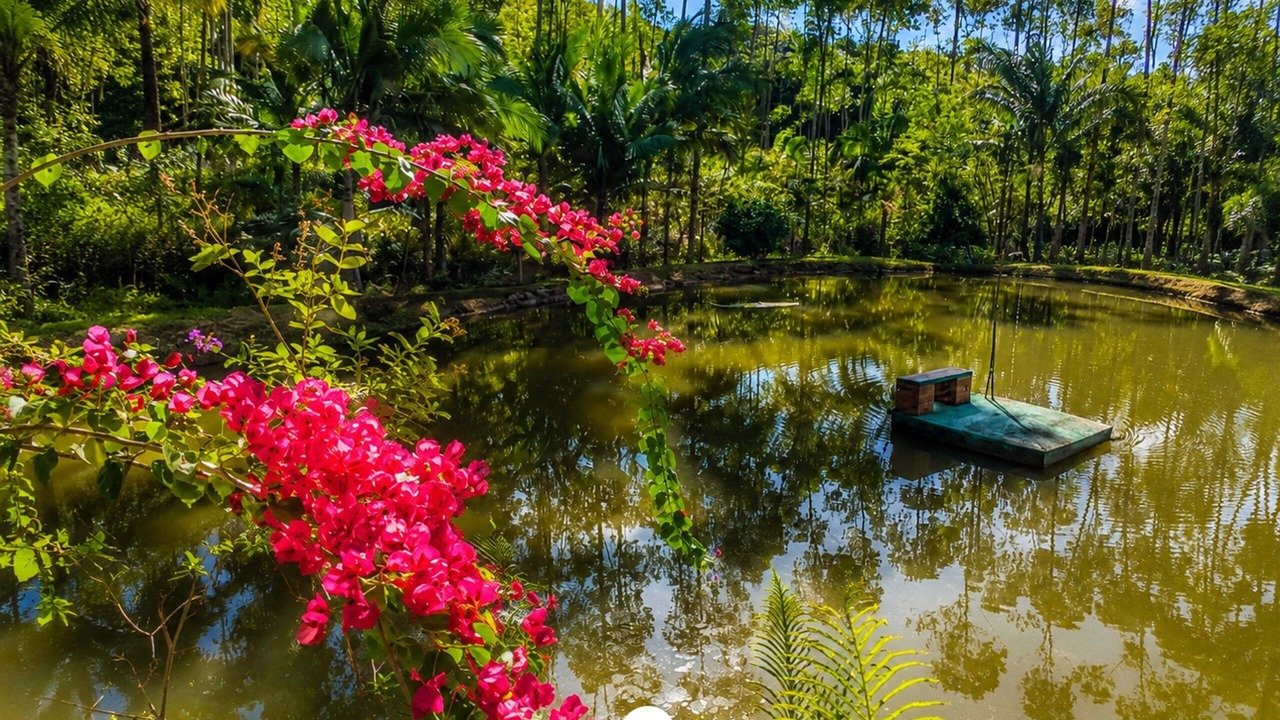 Photo of Outdoor in Nova Trento