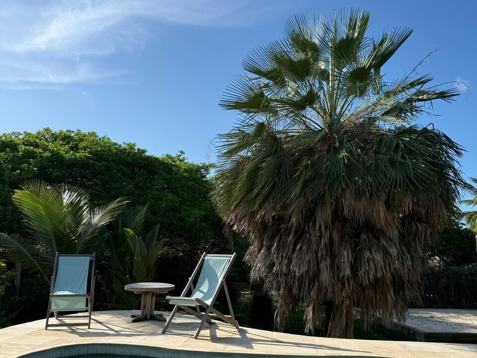 Photo of Outdoor in Atins
