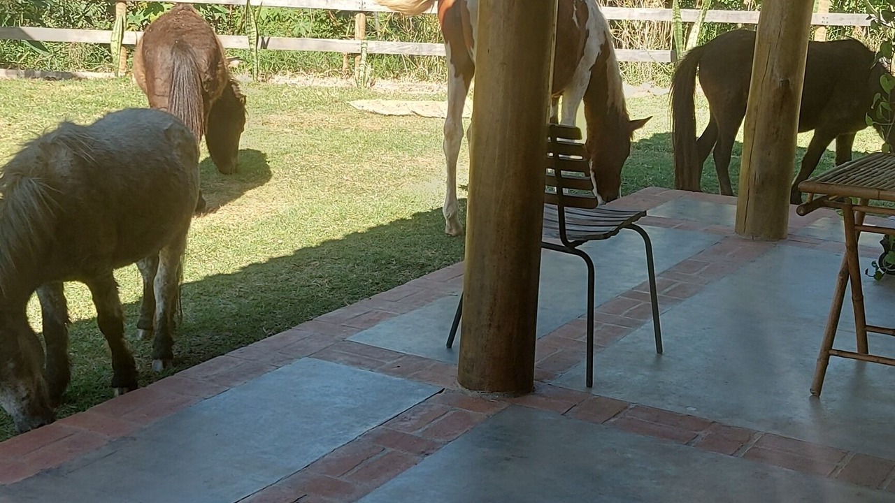 Photo of Outdoor in Piracaia