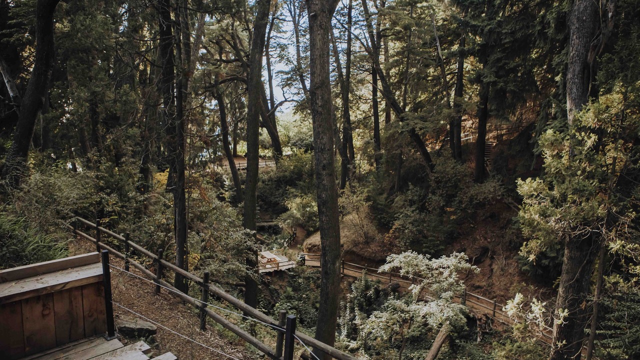 Photo of Outdoor in San Carlos de Bariloche