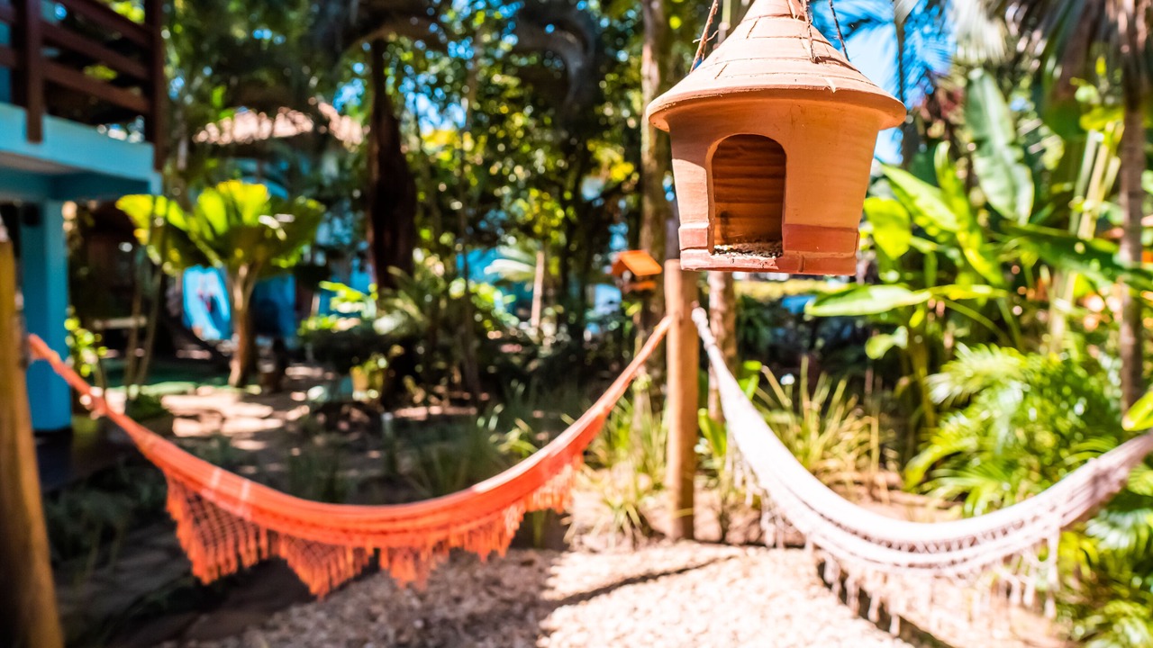 Photo of Outdoor in Itacare