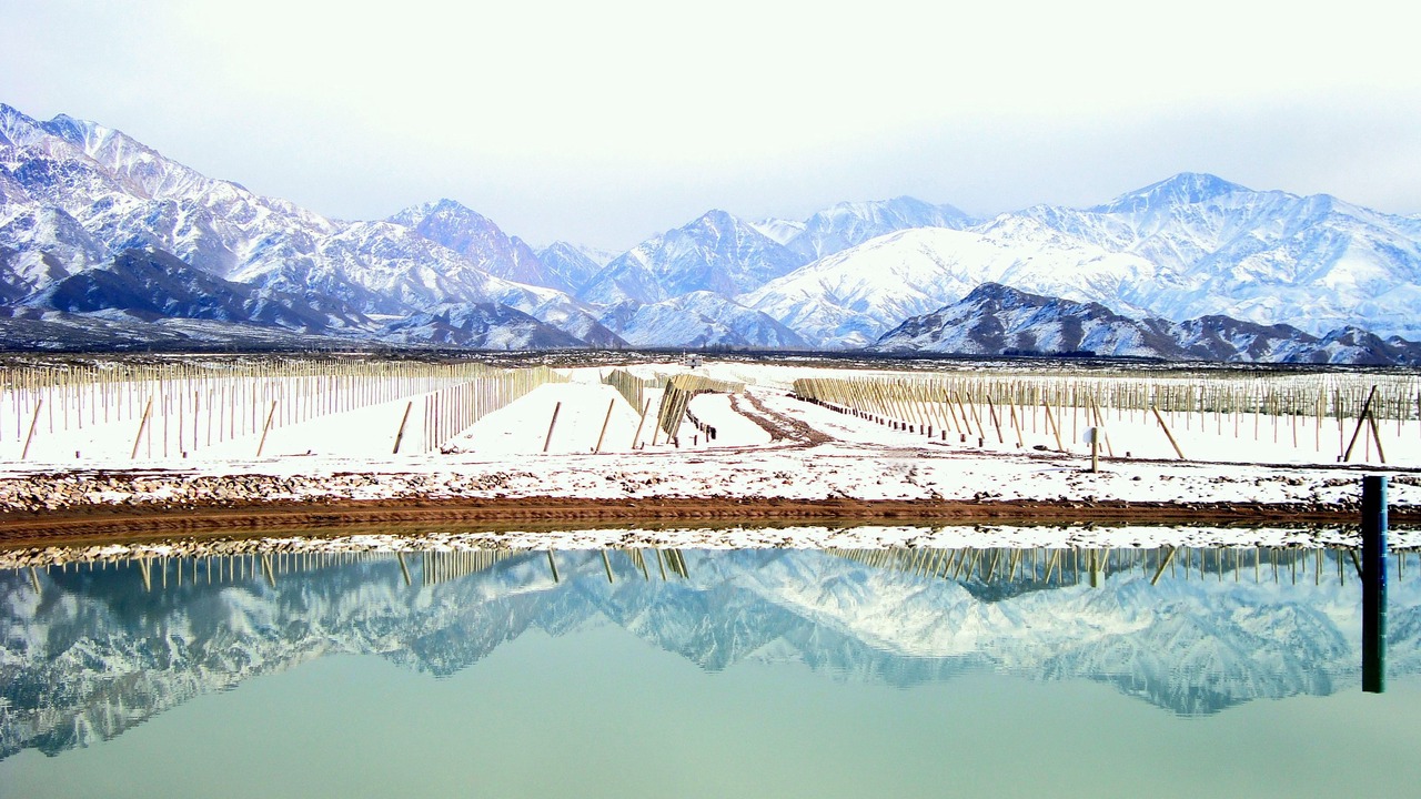Photo of Outdoor in Vista Flores