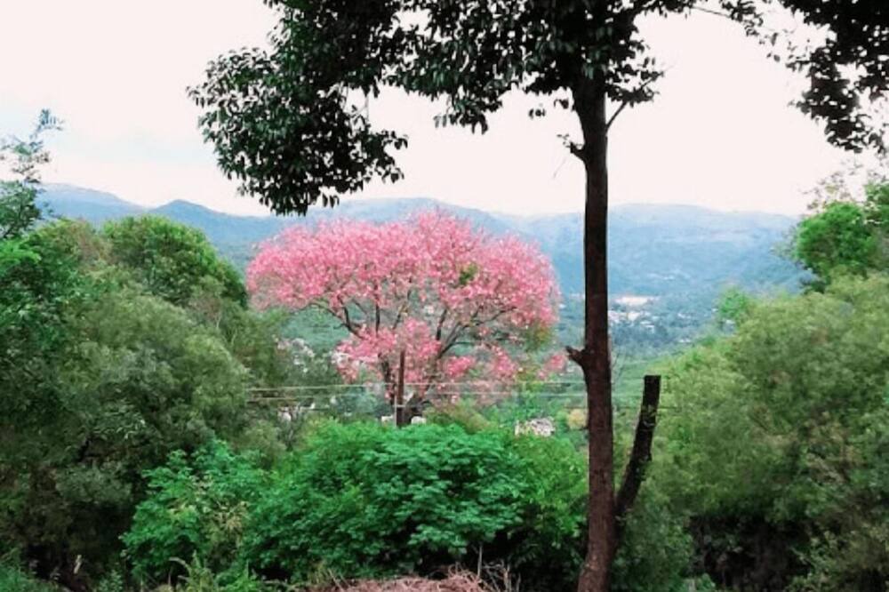 Photo of Outdoor in Rio Ceballos