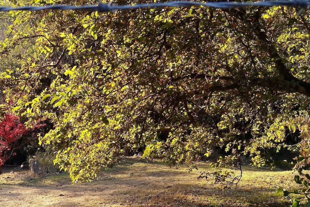 Photo of Outdoor in Rio Ceballos