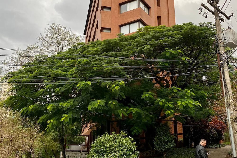 Photo of Outdoor in Petropolis