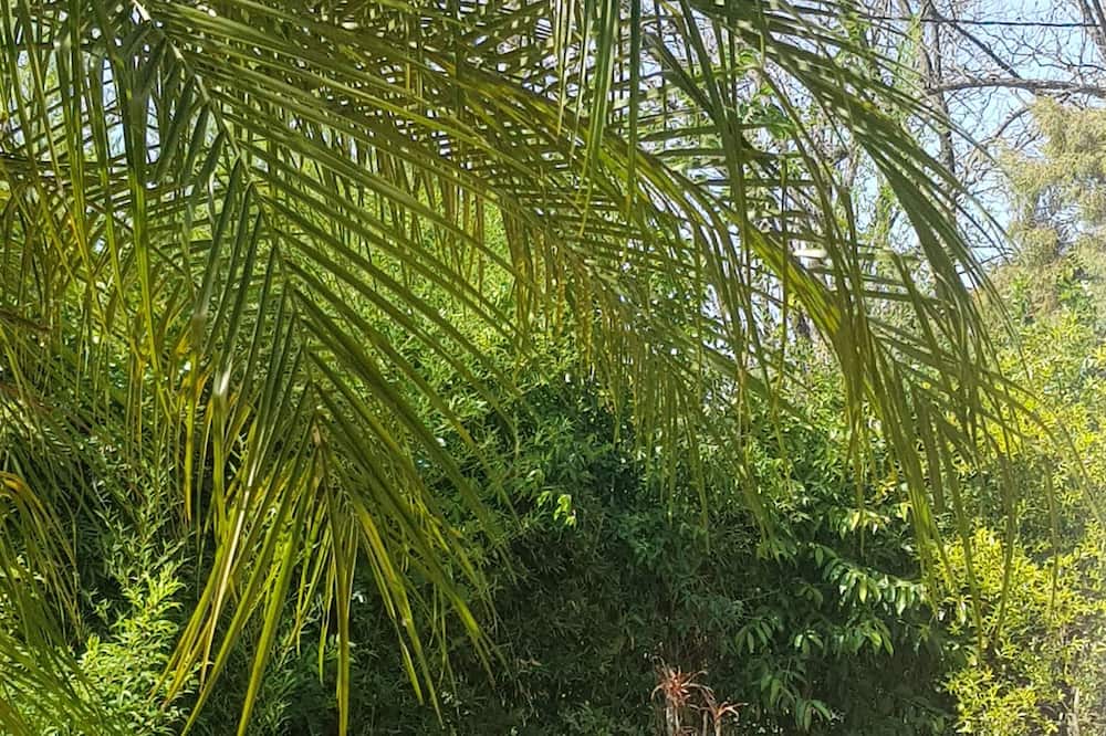 Photo of Outdoor in Americana