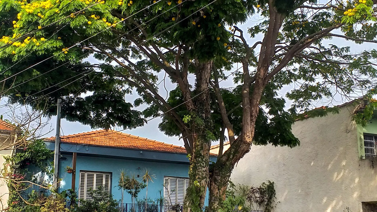 Photo of Outdoor in Jardim Aeroporto