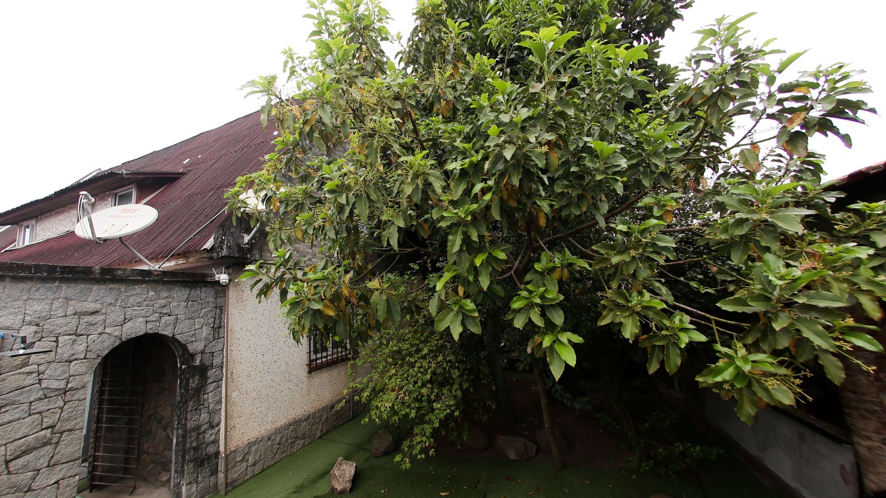 Photo of Outdoor in Solemar