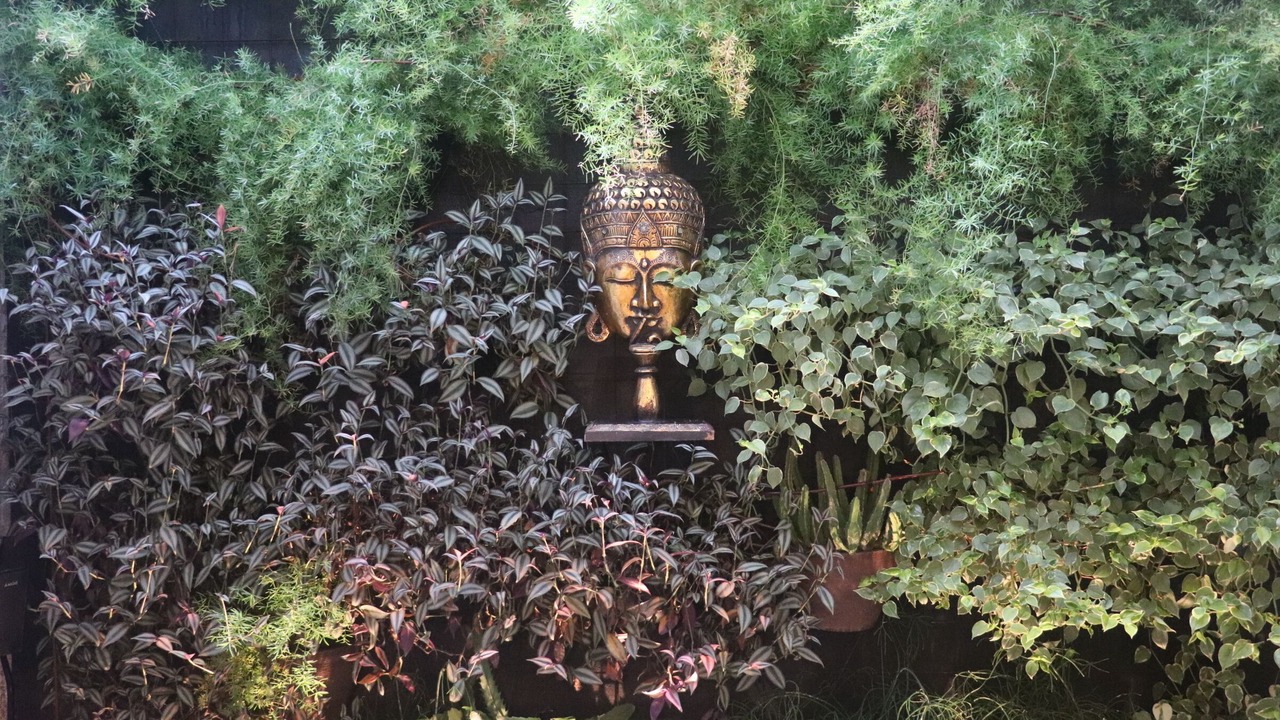 Photo of Outdoor in Jardim Capricornio