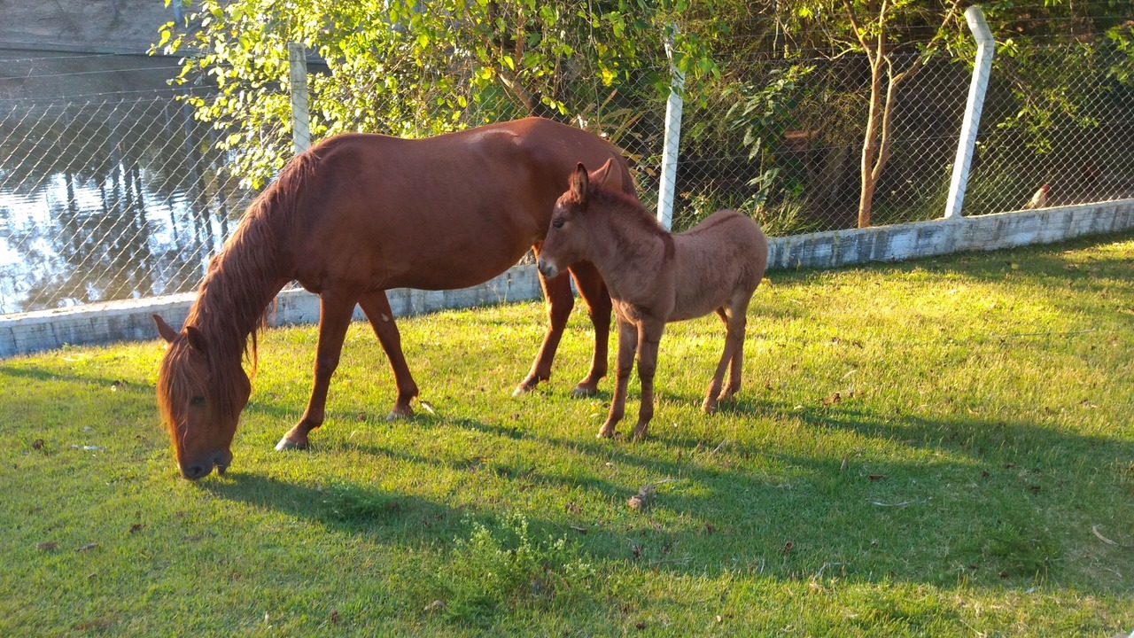Photo of Outdoor in Sorocaba