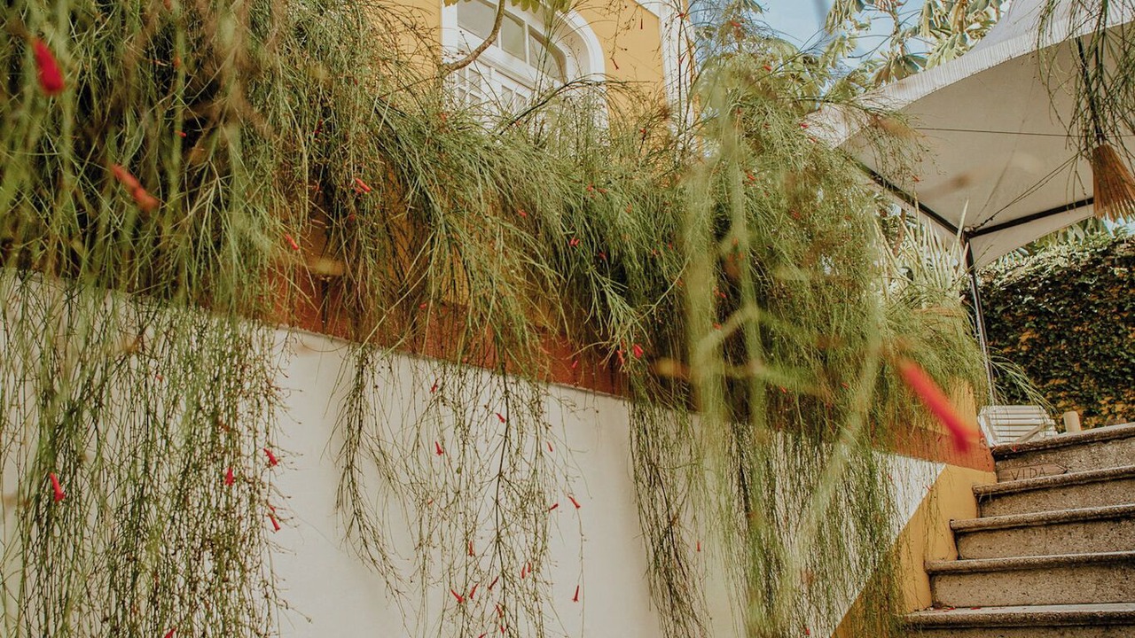 Photo of Outdoor in Centro