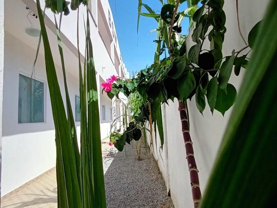 Photo of Outdoor in Brejo