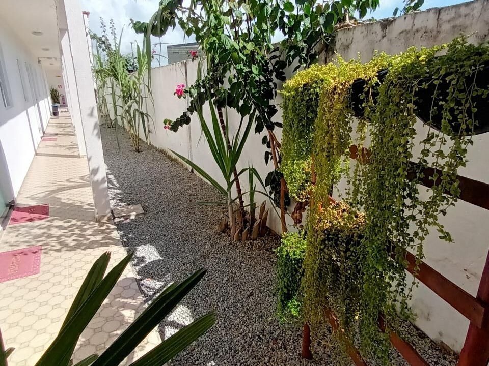 Photo of Outdoor in Brejo