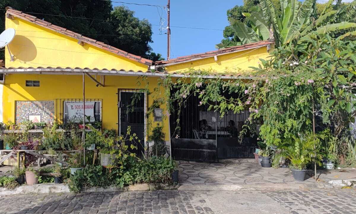 Photo of Outdoor in Itaparica