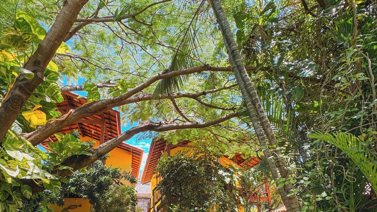 Photo of Outdoor in Icarai de Amontada