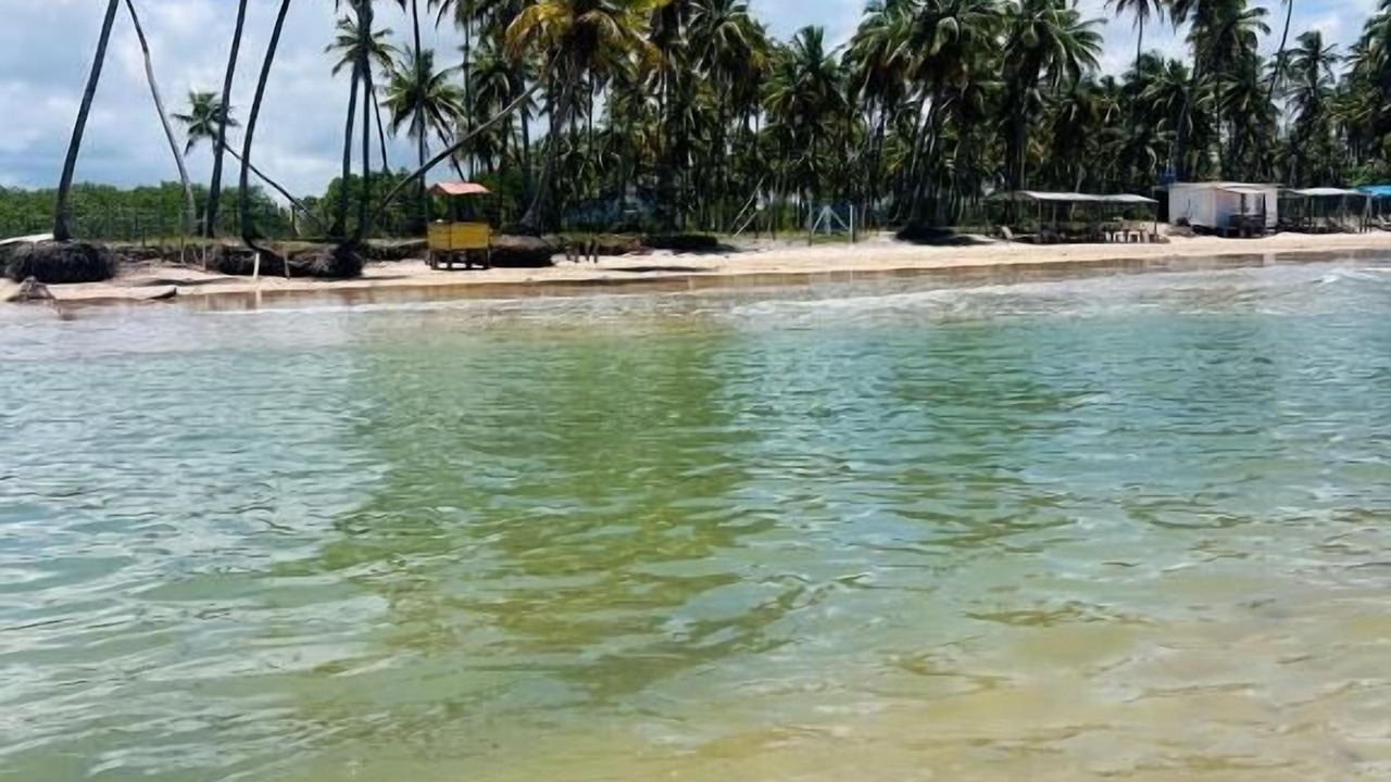 Photo of Others in Velha Boipeba