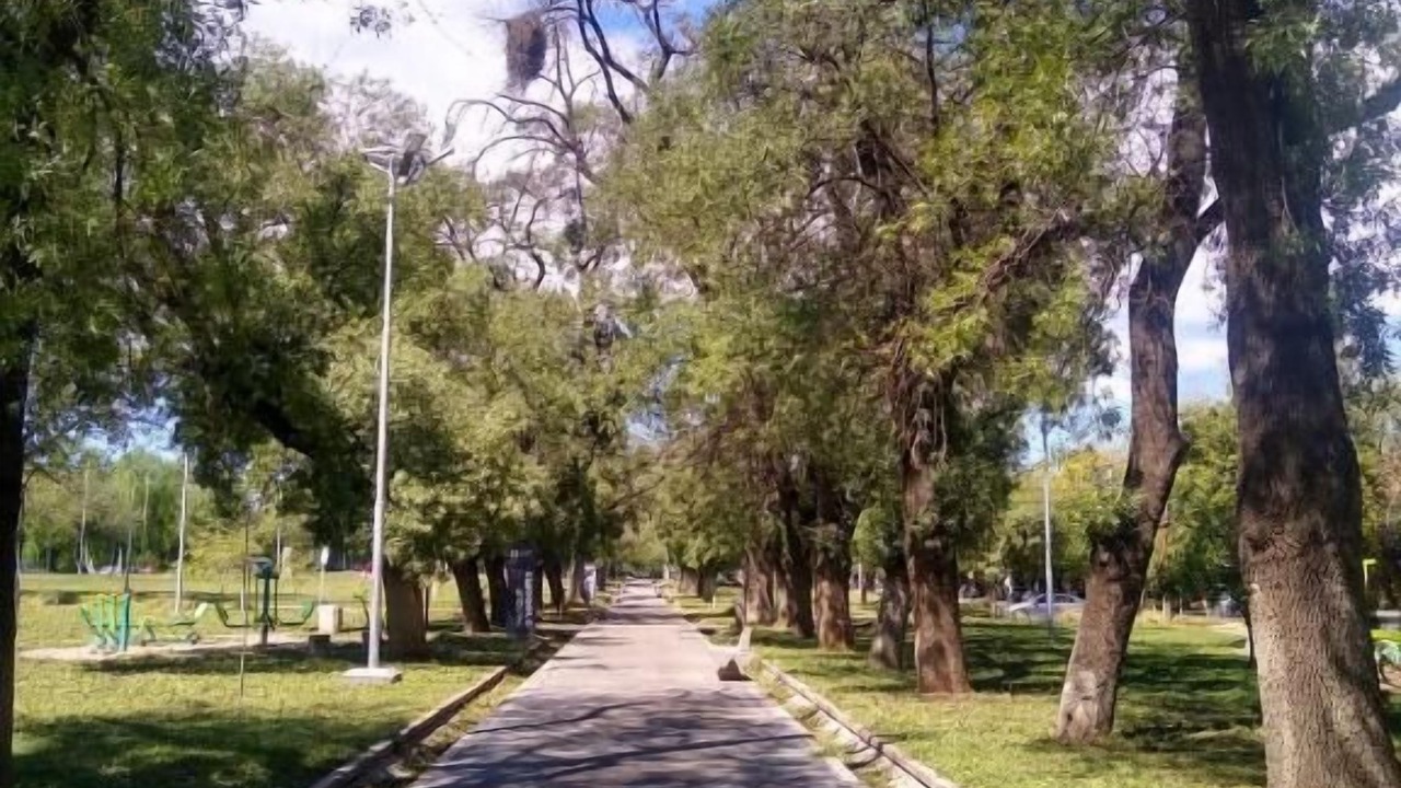 Photo of Others in Historic Center