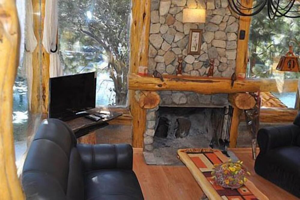 Photo of Livingroom in Villa Pehuenia
