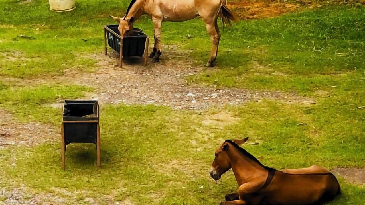 Photo of Outdoor in Aparecida