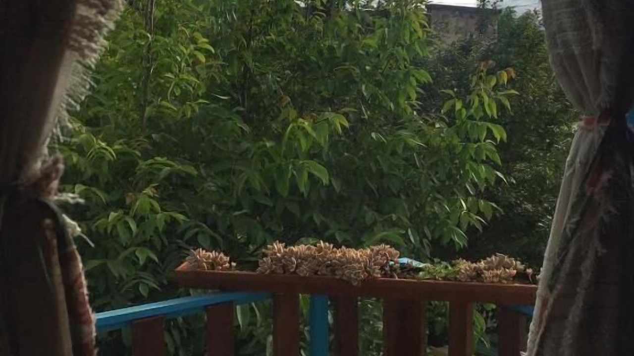 Photo of Outdoor in Reyes