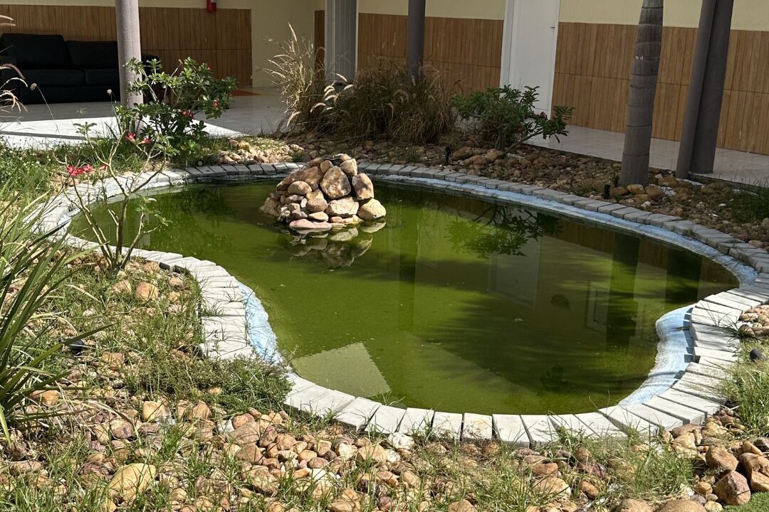 Photo of Outdoor in Quixada