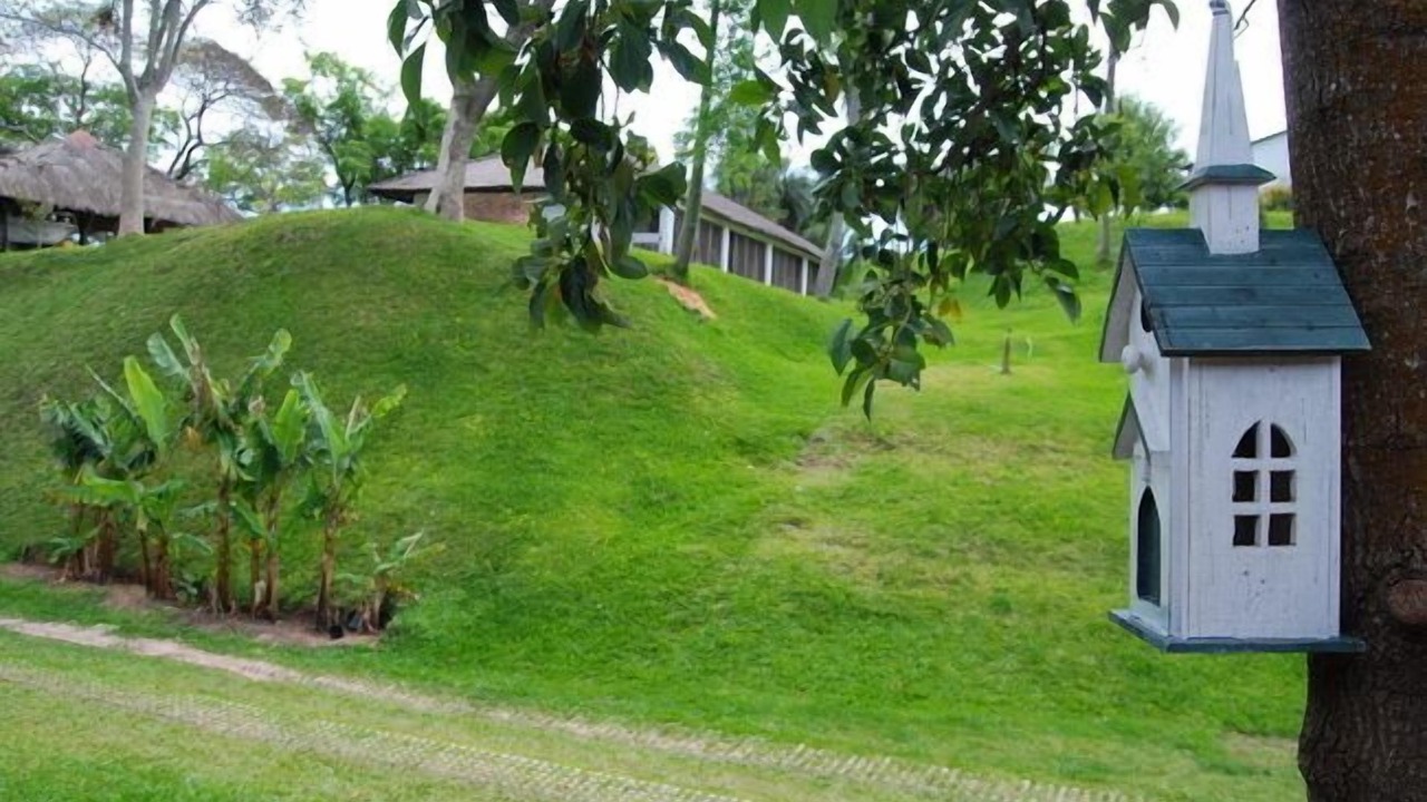 Photo of Outdoor in Bella Vista