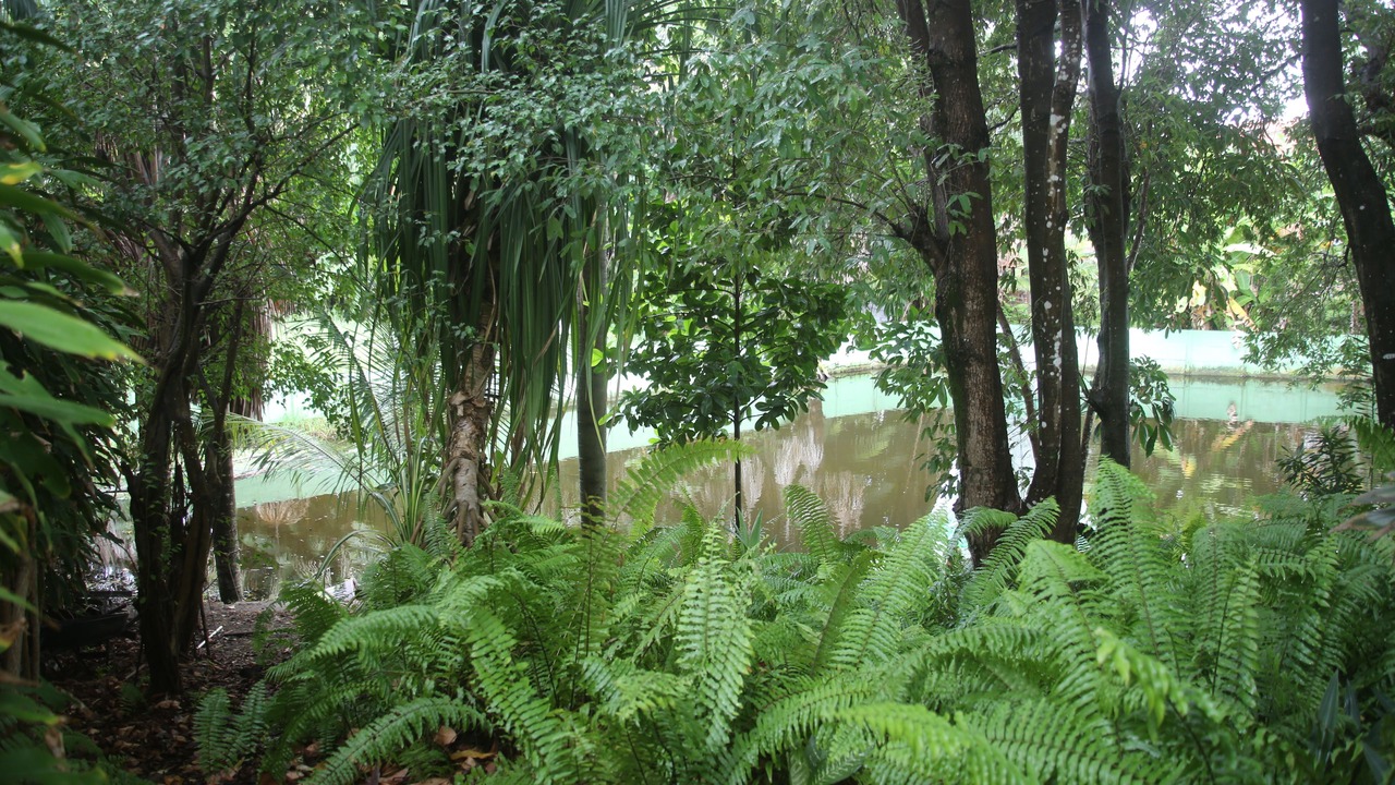 Photo of Outdoor in Barreirinhas