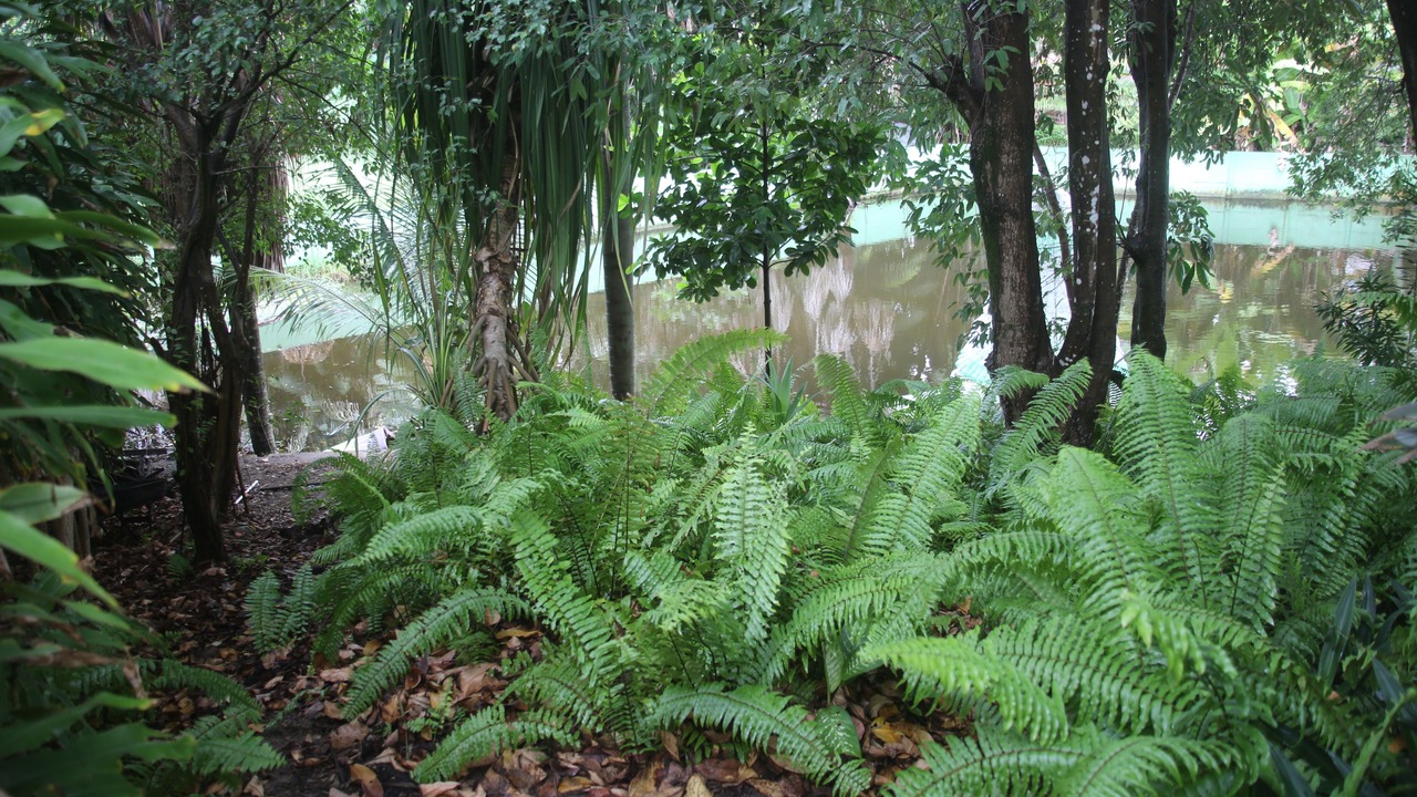 Photo of Outdoor in Barreirinhas