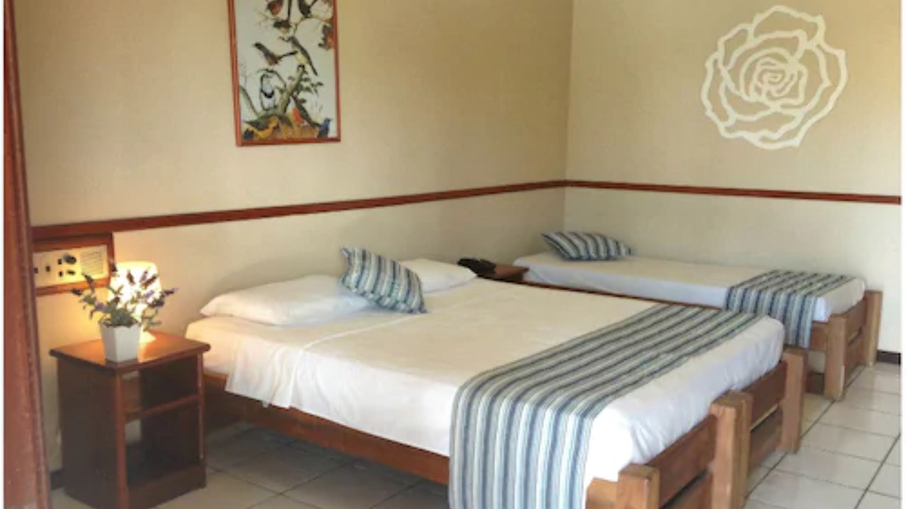 Photo of Bedroom in Taperapua Beach