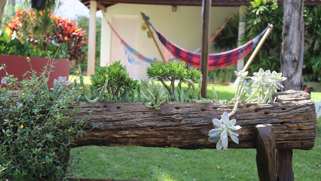 Photo of Outdoor in Olimpia