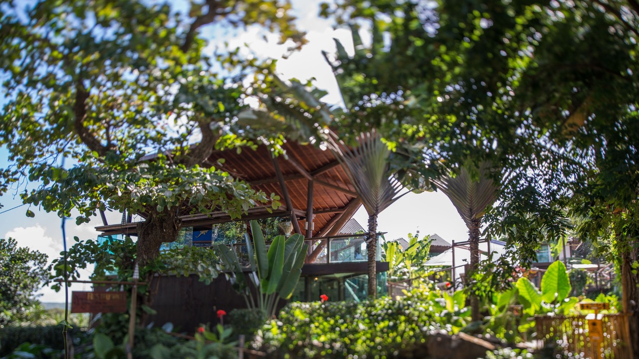 Photo of Outdoor in Floresta Velha