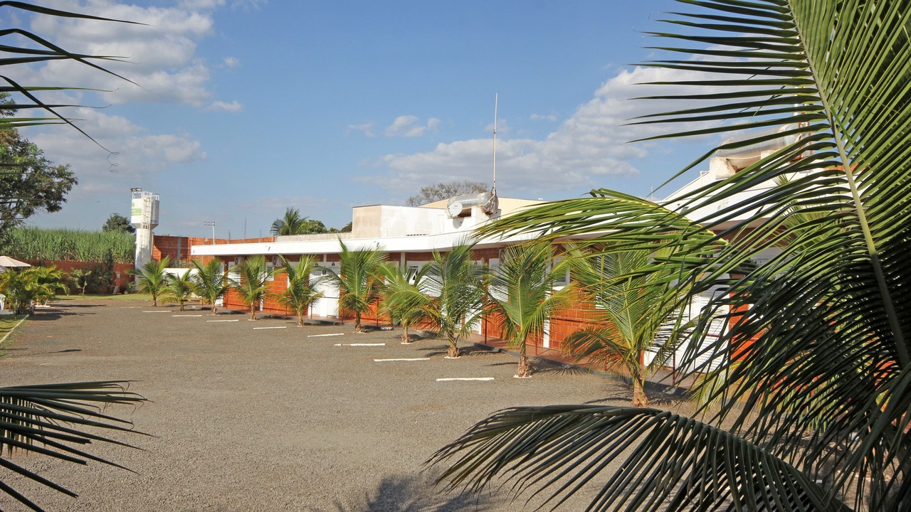 Photo of Others in Olimpia