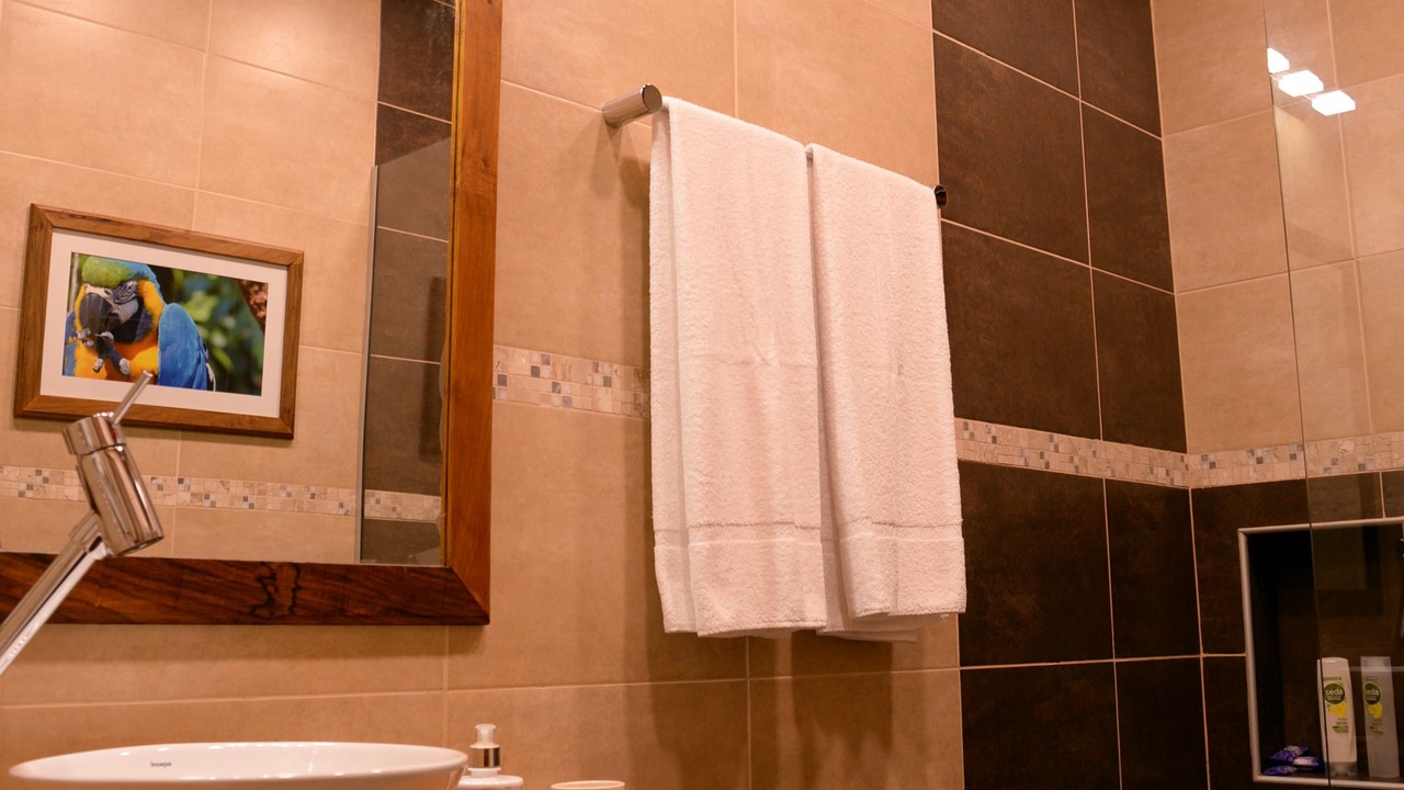 Photo of Bathroom in Zona Granja
