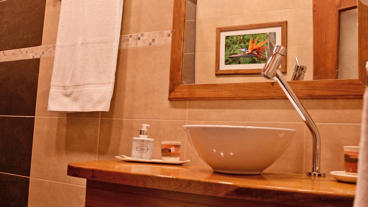 Photo of Bathroom in Zona Granja