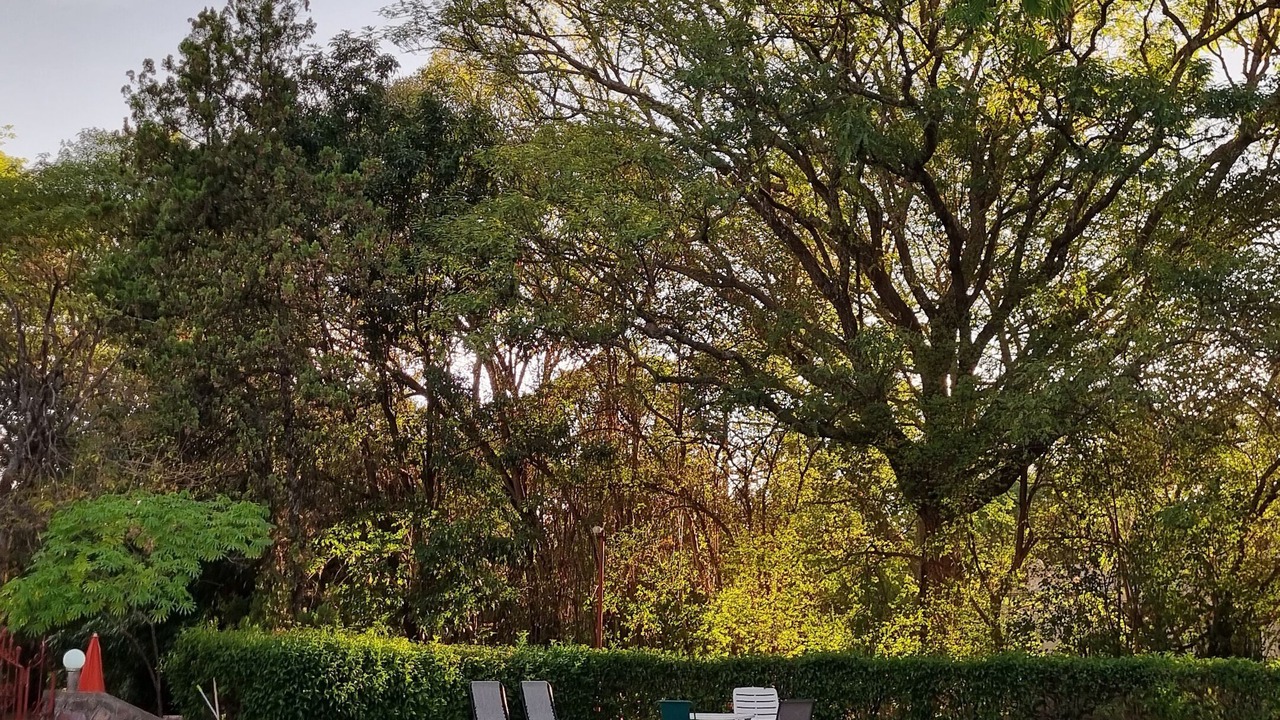 Photo of Outdoor in Salta