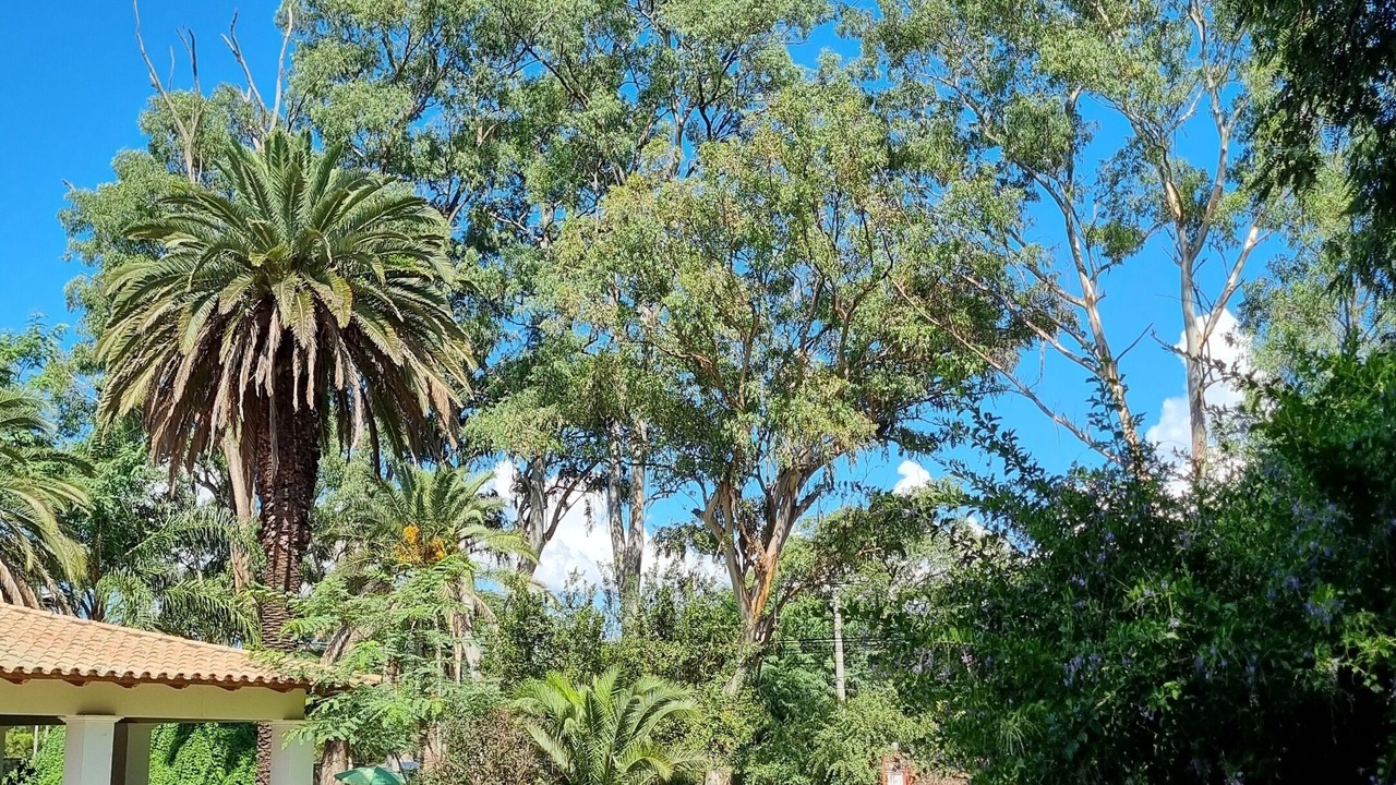 Photo of Outdoor in Salta