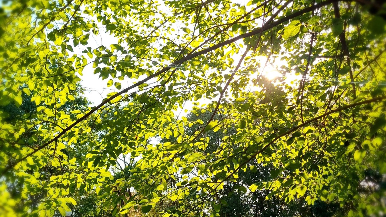 Photo of Outdoor in Salta